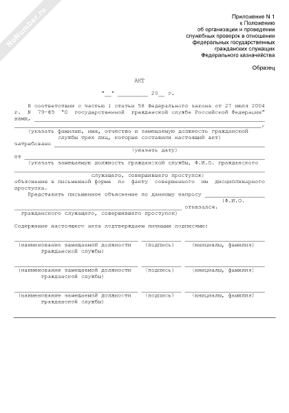 приказ служебная проверка образец